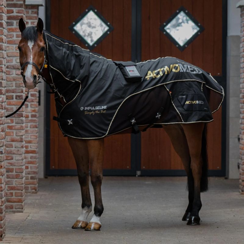 Horse wearing Impulse Line ActivoMEd Blanket in a stable setting