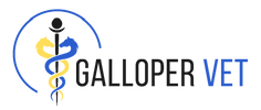 Galloper Vet