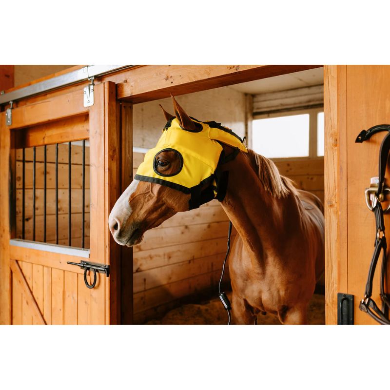 Infrared Heating pad TMJ Hood in horse