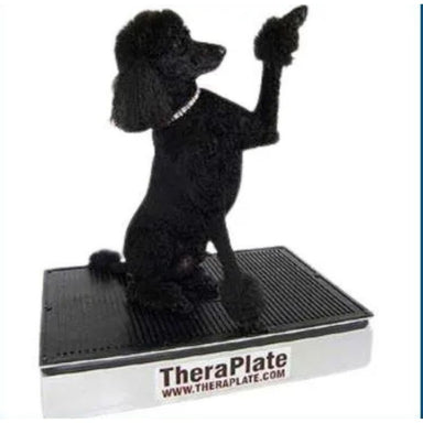 Black dog using Theraplate for dogs