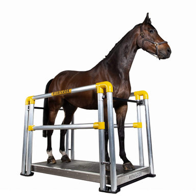 Vitafloor Horse Vibration Plate sidebar