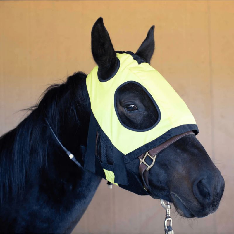 horse in heating pad infrared hood