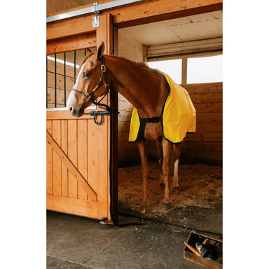 horse facing left equine therapy blankets