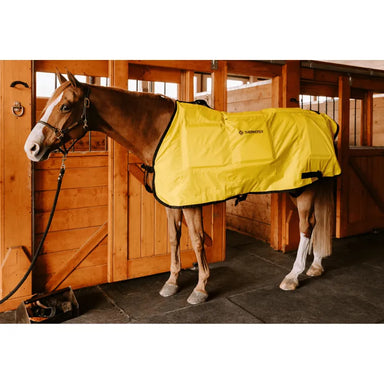 horse wearing thermotex far infrared heating pad