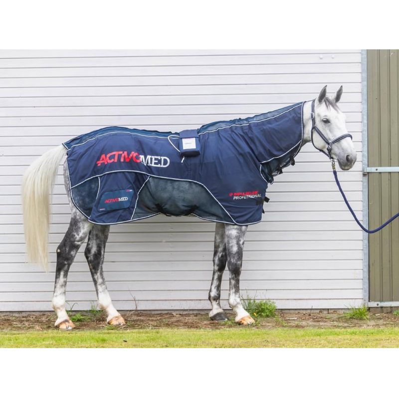 White horse wearing PEMF blanket