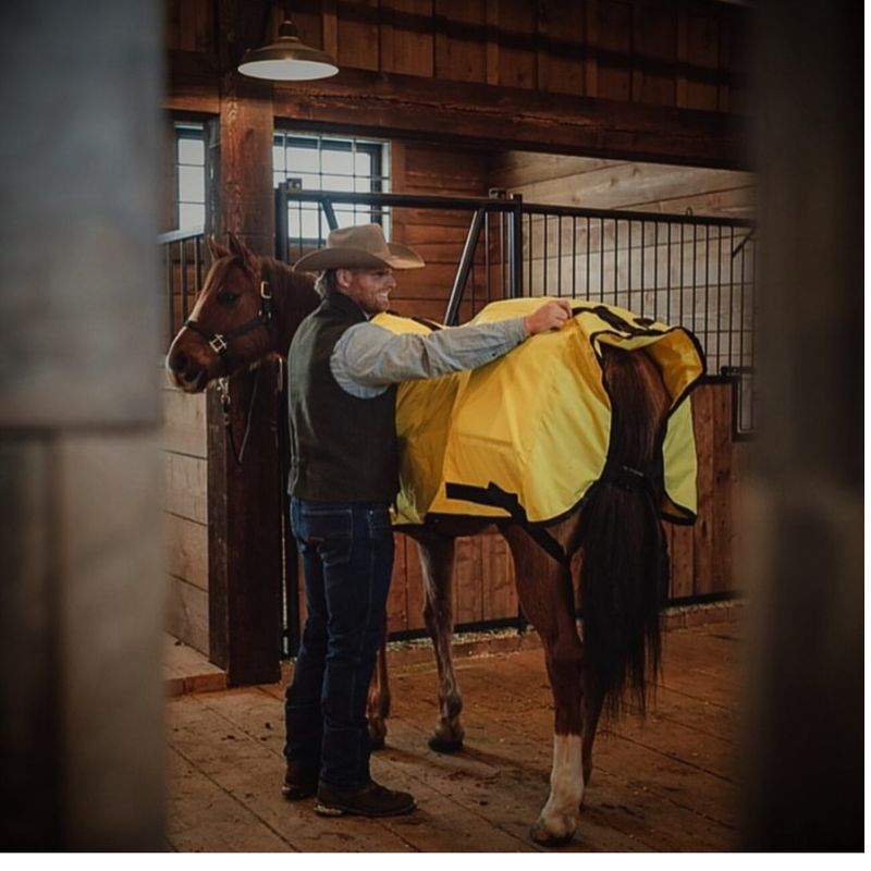 cowboy and horse in red light therapy blanket