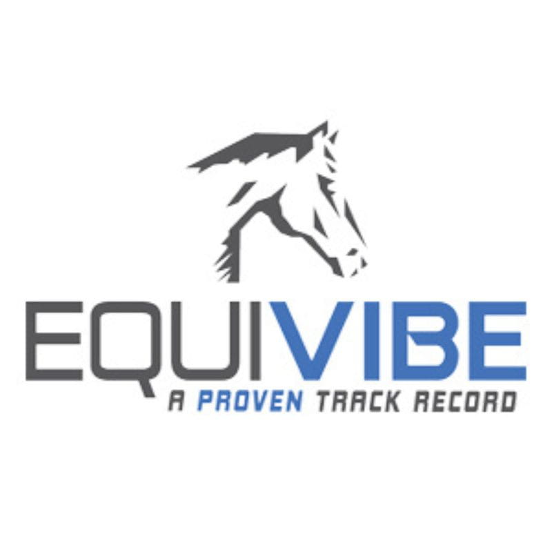 EquiVive black and blue logo