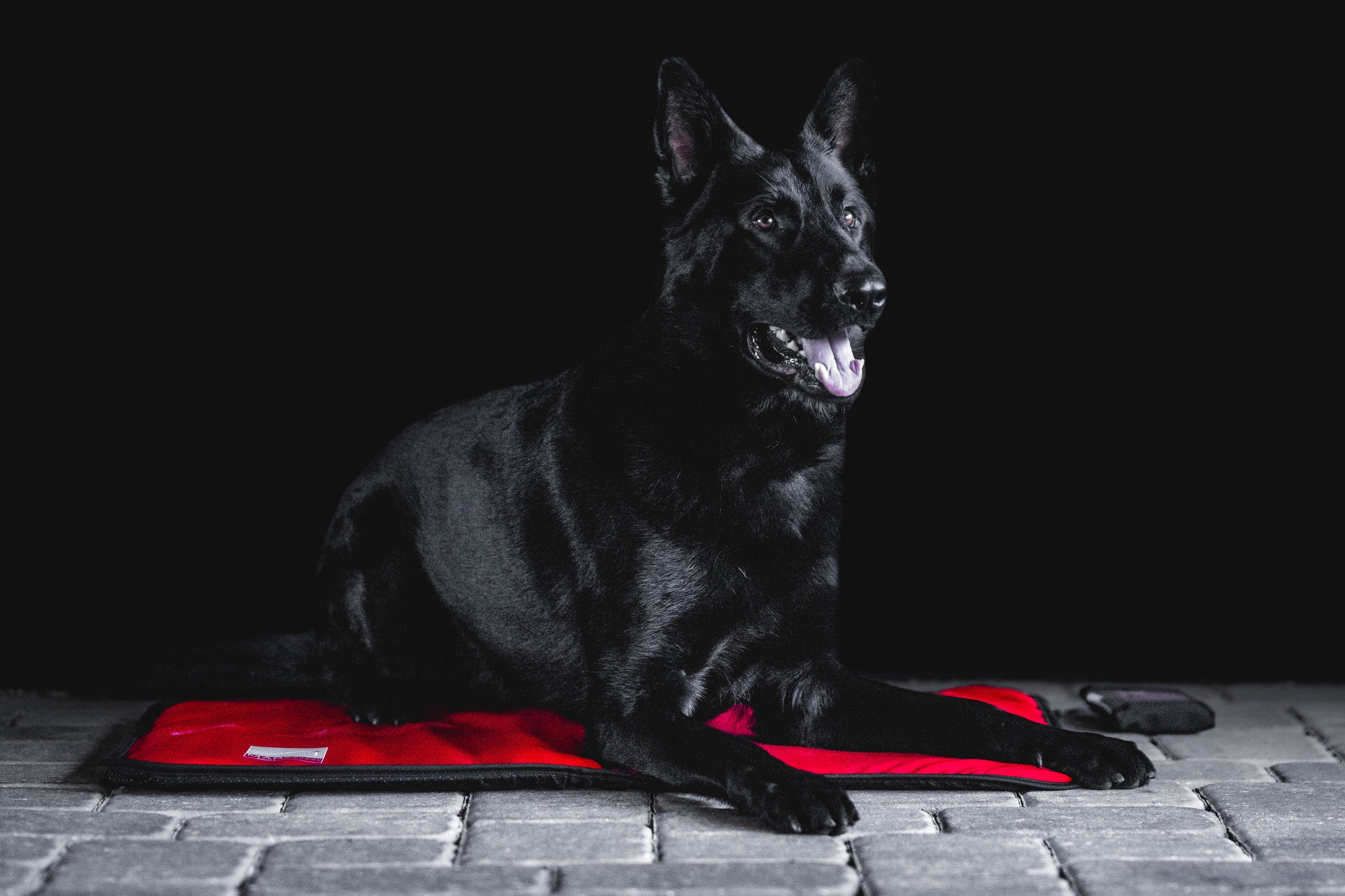Sport Innovations MagMini PEMF Dog Mat