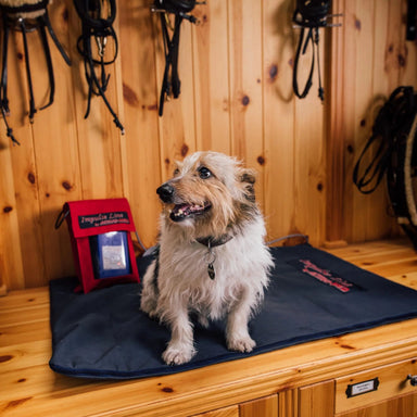 ACTIVOMED IMPULSELINE Canine PEMF BED