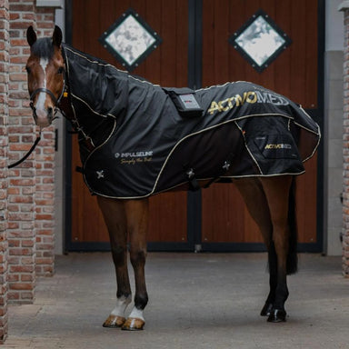Horse wearing Impulse Line ActivoMEd Blanket in a stable setting