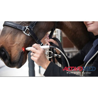 brown horse receiving laser therapy with laser pen 