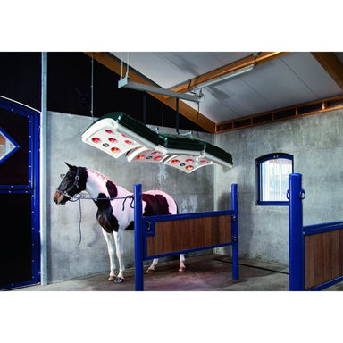 Horse inside a stable with a solarium above
