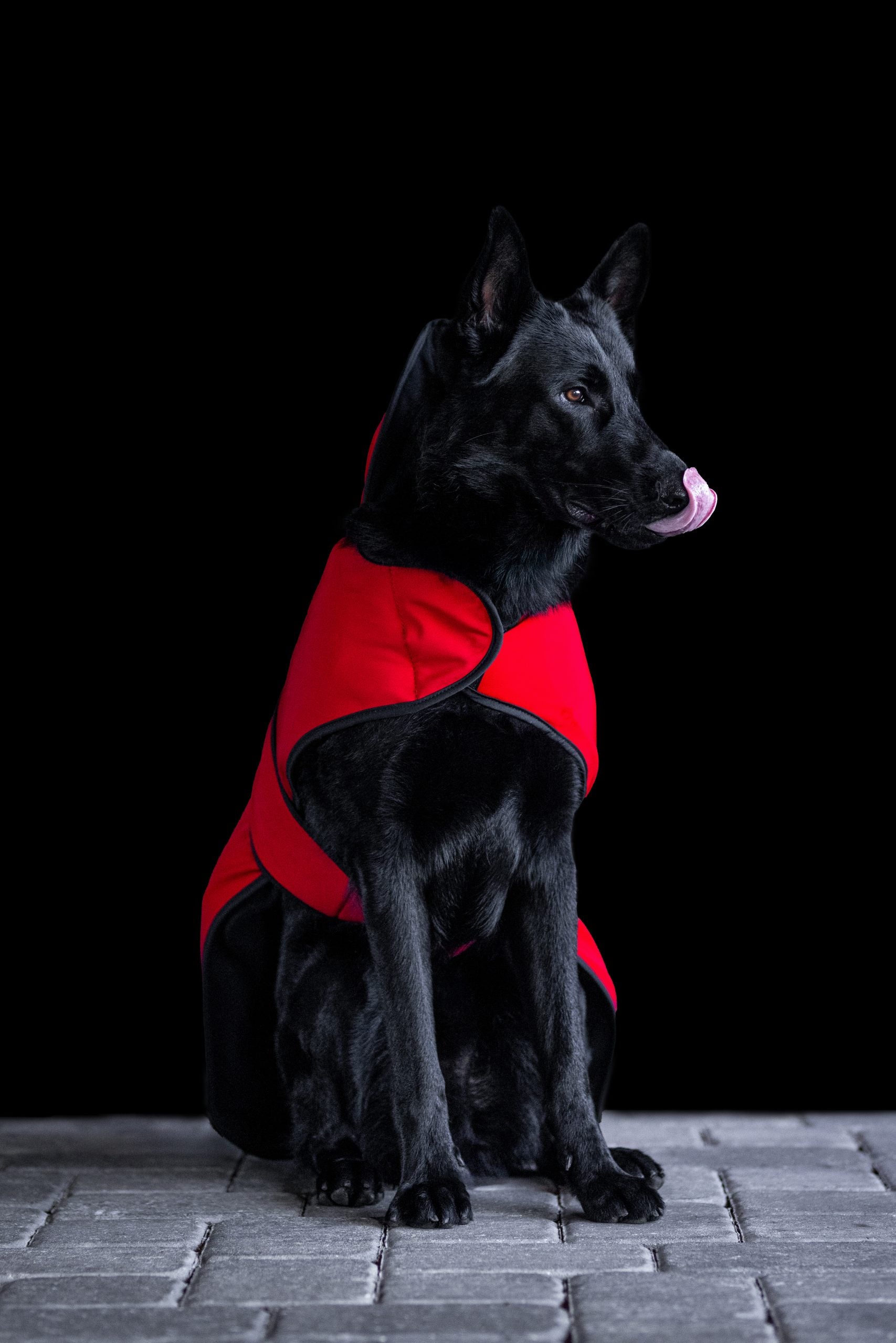 Sport Innovations MagMini PEMF Dog Blanket