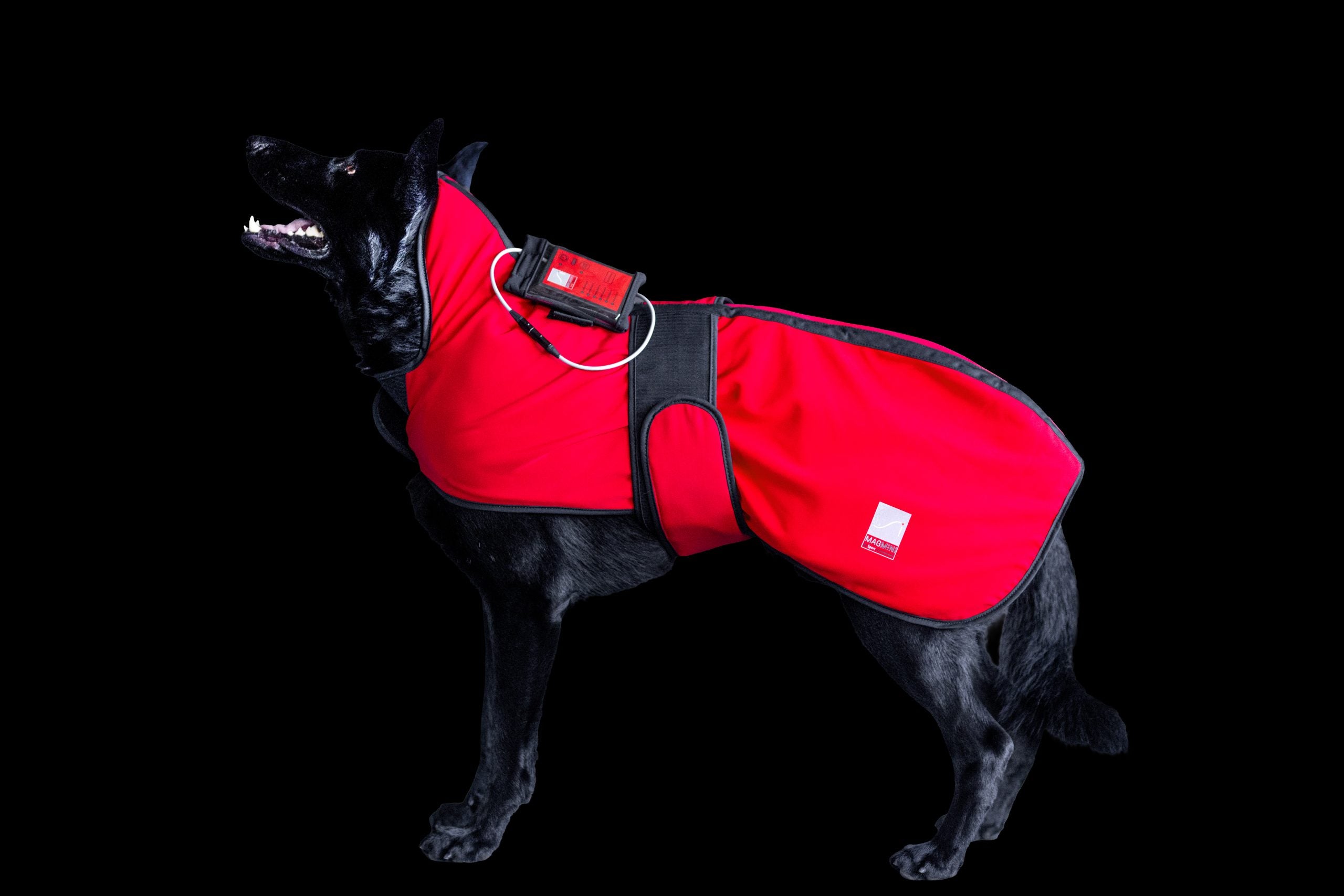 Sport Innovations MagMini PEMF Dog Blanket