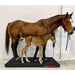 Brown mare and foal on scale with a white background