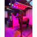 Equine Solarium Lights on a Pony 