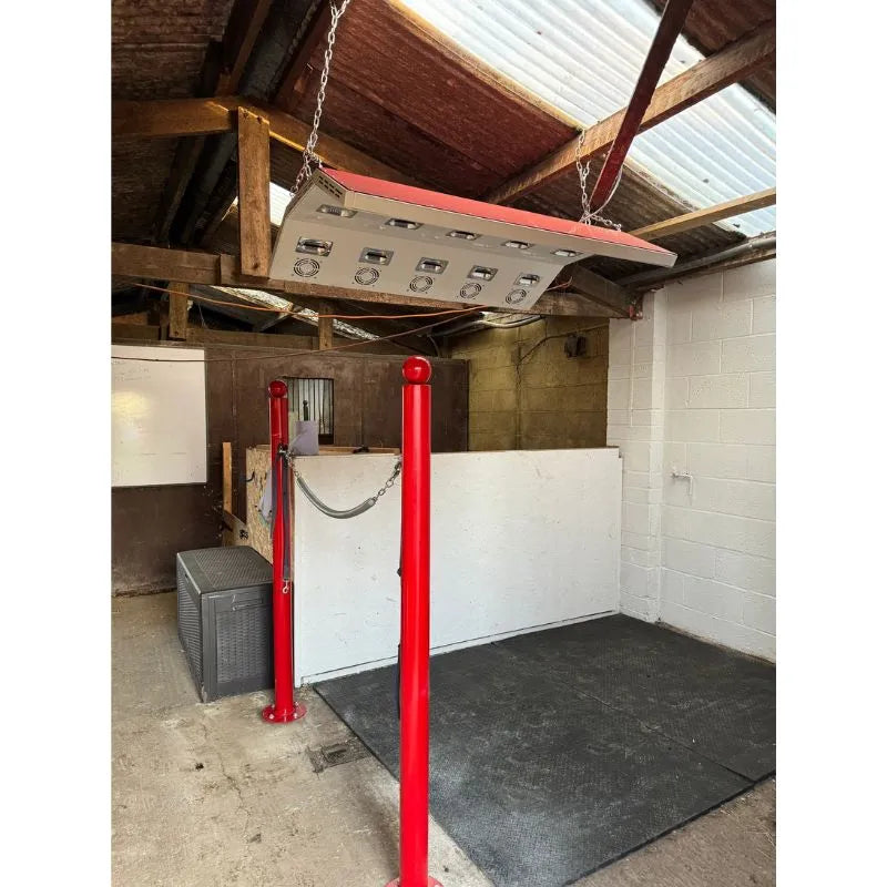 Equine solariums lights installed 