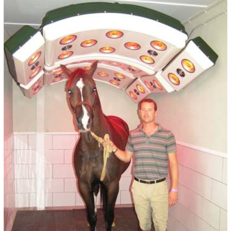 Man standing next to a horse under a large equine solarium