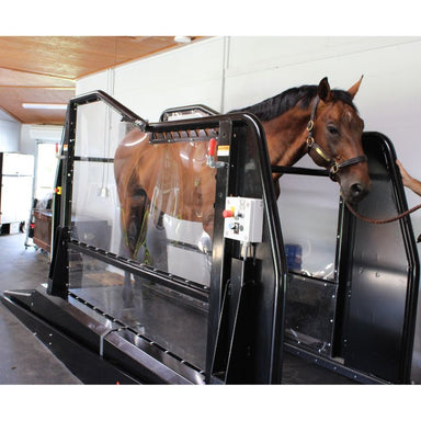 Horse using an Equine treadmill in a stable setting