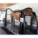Horse using an Equine treadmill in a stable setting
