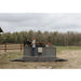 Person standing next to a horse on a horse treadmill in an outdoor setting with trees in the background.
