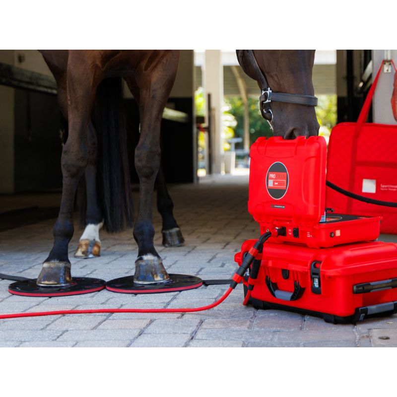 Red equine hoof care device with a horse in the background