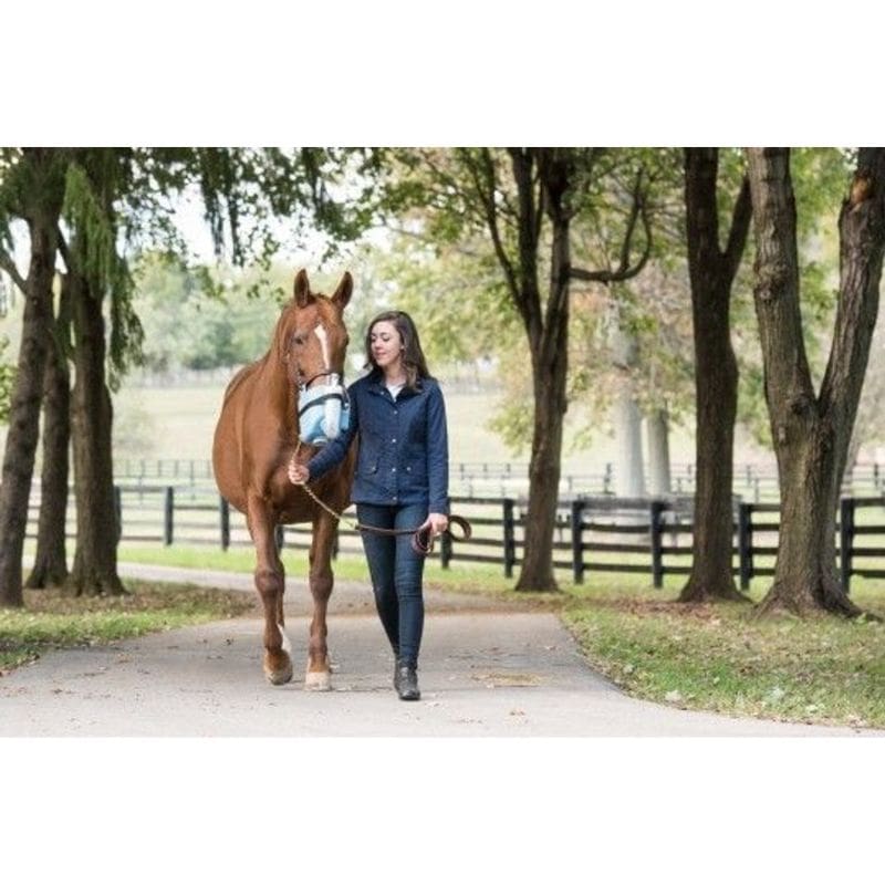 Woman walking a horse on a path in a park-like setting with trees and a fence.