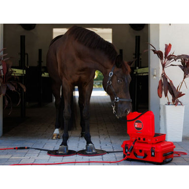 Horse standing next to a red electronic device on a patio