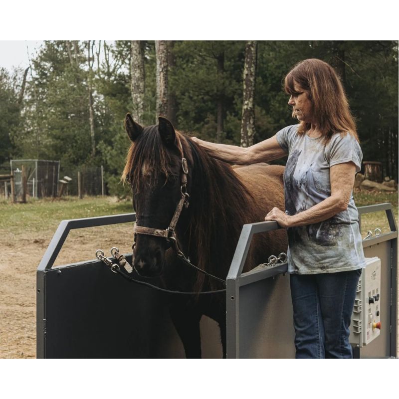 Woman standing next to a horse in treadmill with trees in the background
