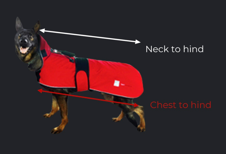 Sport Innovations MagMini PEMF Dog Blanket