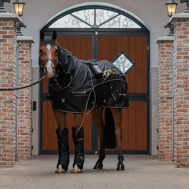Horse wearing Impulse Line ActivoMEd Blanket in front of a brick building with wooden doors.