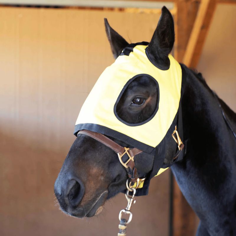 Horse facing left in infrared heating pad