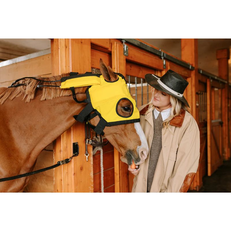 Horse wearing Infrared heating pad with girl