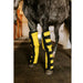 Horse frontal legs with Infrared heating pad 