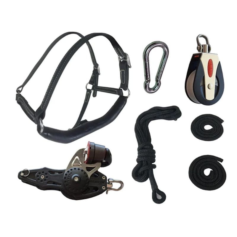 Set of equestrian equipment including a bridle, pulley system, and ropes on a white background