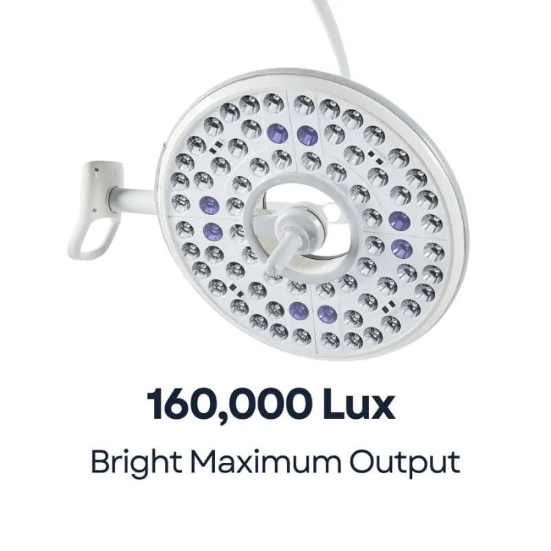 Luxor 400 Veterinary Surgical lights
