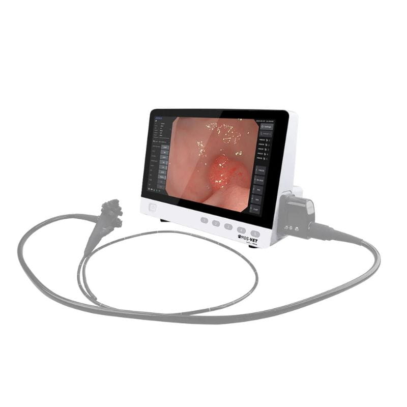 Endoscopic video camera system with a white monitor displaying an internal view and a gray flexible endoscope attached by cables, shown on a plain white background.