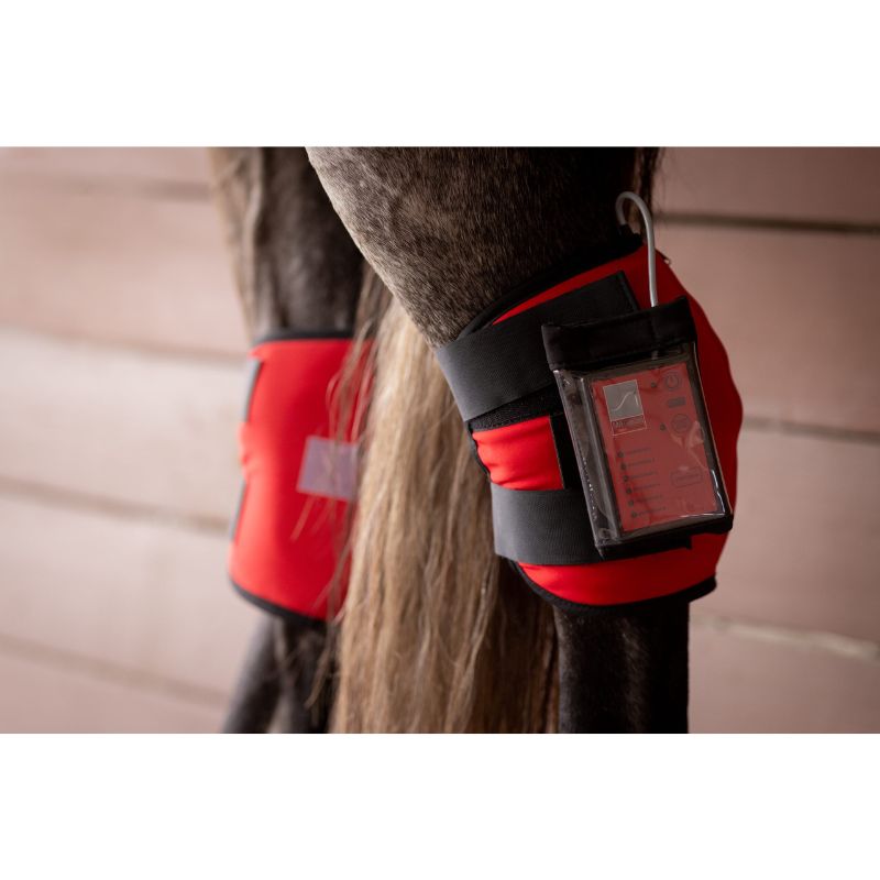 Red and black protective magnetic and PEMF wrap on a horse's leg with a blurred background