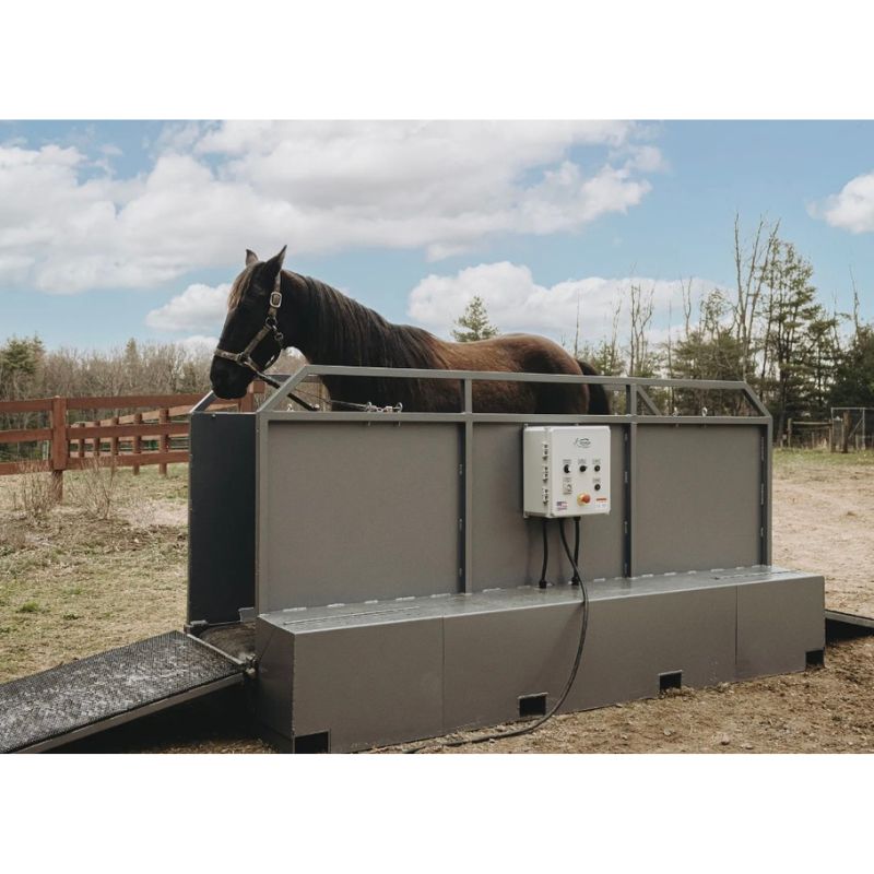 Horse in a large metal treadmill in an outdoor setting with trees and sky.