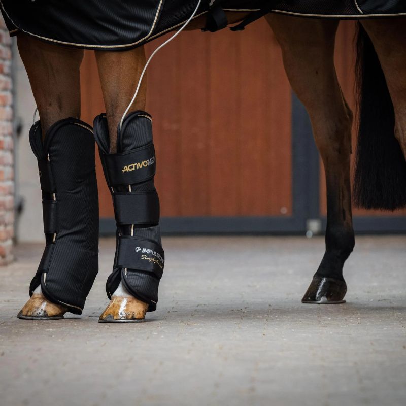 Horse PEMF  legs with protective leg wraps on a concrete floor.