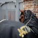Horse wearing Impulse Line ActivoMEd Blanket with a blurred background
