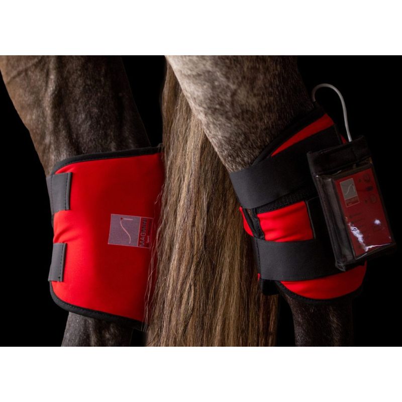 Red and black horse leg wrap on a horse's leg with a clear background