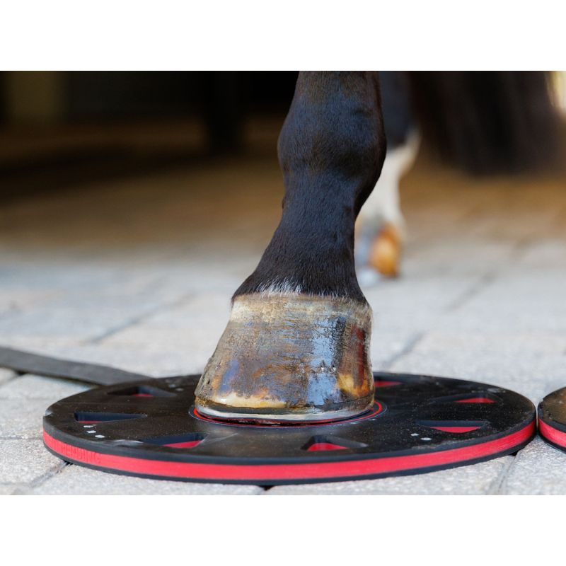 Horse hoof on a black and red hoof boot with a blurred background