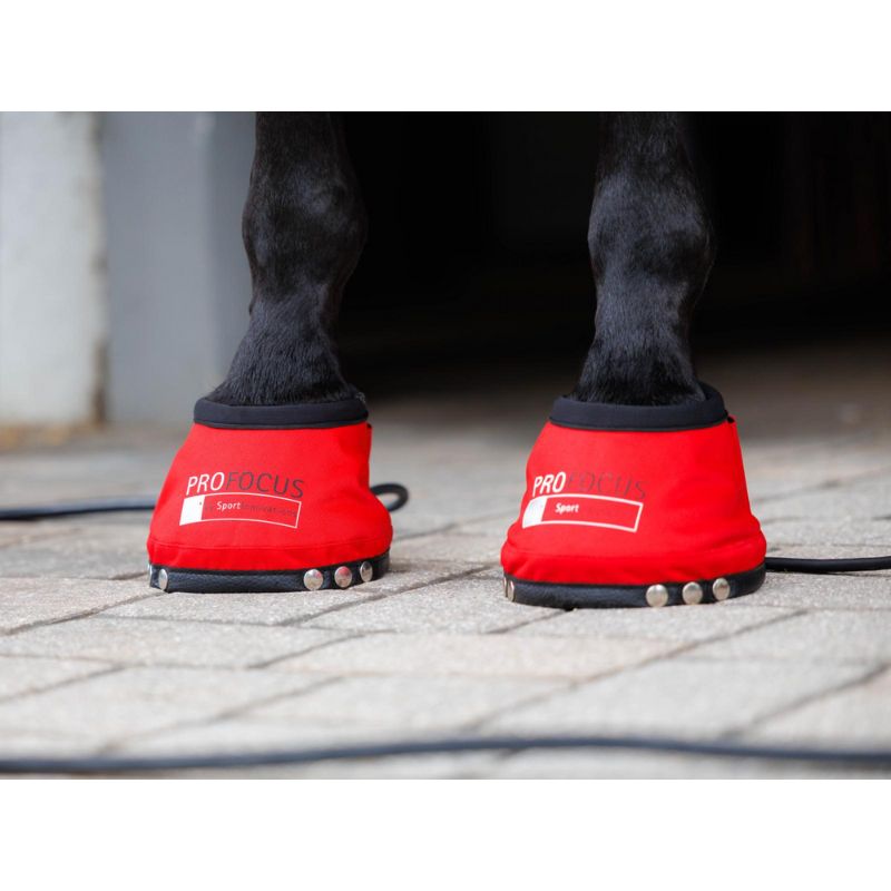 Red protective booties on horse hooves with 'Pro Focus' branding.