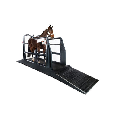 Horse using an equine treadmill on a white background