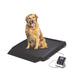Dog sitting on a black Rice Lake VS-30 scale with a digital display on a white background