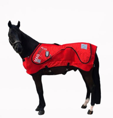 Sport Innovations MAGPRO PLUS PEMF and Heat Therapy Horse model 