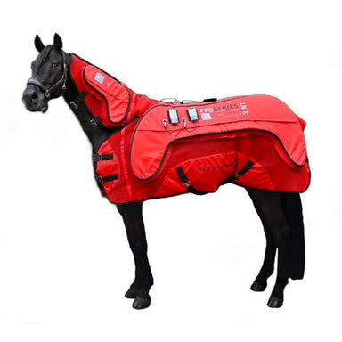 Horse wearing a red protective blanket on a white background