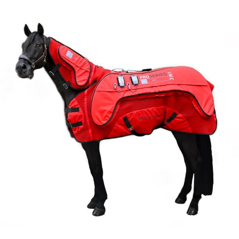 Horse wearing a red protective blanket on a white background