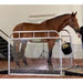 horse standing protected by plexiglass